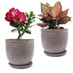 PLANTORI Indoor Plant Pots with Tray/Plate for Office and Home Decor (Grey Ceramic Planters with Saucers, 5 inches, Set of 2 Flower Pots for Bonsai)