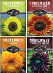 Survival Garden Seeds Decorative Sunflower Collection Seed Vault - Autumn Beauty, Dwarf Sungold, Chocolate Cherry, and Lemon Queen Sunflower Seeds - Non-GMO Heirloom Seeds for Planting & Growing