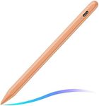 Stylus Pen for iPad (2024-2018) wit