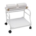GDNTMU Pedicure Foot Rest Cart, Footrest Stand, Beauty Salon Nail Or Foot Bath Spa Portable Trolley, Cart for Foot Rest Pedicure Manicure Funiture Massage Table Salon Supplies (White)