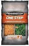 Pennington One Step Complete Bermud