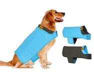 Sage Square Dog 2 in 1 Stylish Revesible Cozy Jakcet Winter Outfit, Classic Dog Cold Weather Coats Dog Jacket, Windproof & Waterproof Vest Winter Apparel (Medium- 20 Inches, Sky Blue)