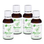 Naturalis Essence Of Nature Peppermint Essential Oil Undiluted Pure And Natural Therapeutic Grade For Steaming, Hair, Skin, Face & Diffuser - (30 Ml) - Pack Of 4
