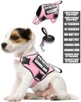 MOOGROU Service Dog Vest Harness and Leash Set+10 Patches for Puppy Small Dogs,Do Not Pet Emotional Support Dog Vest with 2 Soft Padded Handle for Everyday/Training (Pink XS)