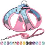 AIITLE No Pull Dog Harness and Leas