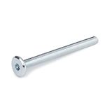 Spare Hardware Parts Bed Frame, Table, Wardrobe, Loft Bed, Daybed Frame Long Screw (Replacement for IKEA Part #105236) (Pack of 8)