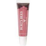 Burt's Bees 100% Natural Moisturizing Lip Shine, Blush, 0.5 Ounce (1 Count)