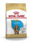 Royal Canin Cocker Puppy Food 3kg