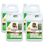 Natural Armor Weed and Grass Killer All-Natural Concentrated Formula. Contains No Glyphosate (1 Case of 4 Gallon Refills)