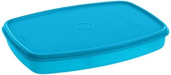 Signoraware Slim Compartment Lunch Box, Bpa Free Plastic, Microwave Safe Food Grade Tiffin Boxes for Office School, Leak Proof Air Tight Compact Dabba (610ml, Square, Blue, 2 Section Storage)