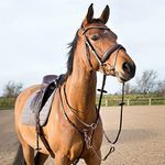 HORZE Adjustable Hunting Breastplate - Tan - Horse