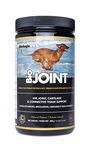 Flora BiologicVET BioJOINT Advanced Hip Joint Mobility 400 g Powder for Dogs & Cats Premium Joint Support with Glucosamine, Chondroitin, Bromelain, Boswellia, Prebiotics, Manganese, Joint Pain Relief