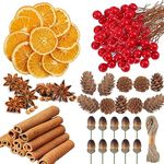 YUNSTK 225 Pcs Christmas Wreath Making Supplies, Dried Orange Slices and Cinnamon Sticks, Star Anise, Red Berries Mini Pine Cones Kit, Wreath Accessories Floral Supplies for Xmas Craft Decorations