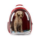 Pets Empire Pet Transparent Cat Carrier Backpack Puppy Kitty Breathable Carriers for Travel (Red)