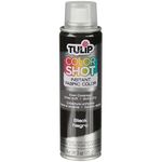 Tulip ColorShot Instant Fabric Color 3 oz, Black