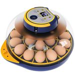 Bobmail 21 Egg Incubator for Hatching Chickens, Incubator with Automatic Egg Turning and Humidity Control, Hold 21 Chicken Eggs (Blue)