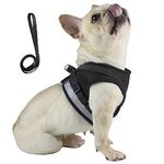 Anlitent Step In Dog Harness Medium Sized Dog With Lead Set for Outdoor, Soft Mesh Anti Pull Dog Vest Harnesses for Small Breeds Fully Adjustbale Easy Walking Boy Dog Collar for Car 10-15 lbs