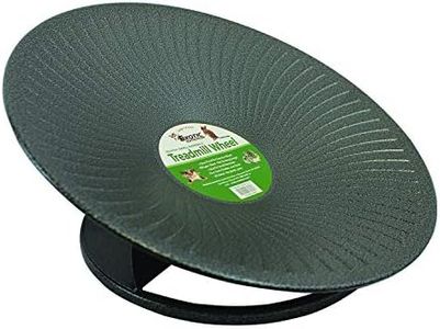 Treadmill Wheel 11" Black - All-Metal Exercise Wheel - Chinchillas, Prairie Dogs, Rats, Hedgehogs, Sugar Gliders, Squirrels, Degus, Hamsters & Other Small Animals - Smooth, Fast, Silent, Durable