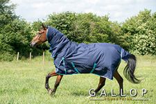 Gallop Trojan 600d Combo Neck 350g Turnout Rug 6'3" (EU140cm)