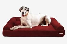 Barker Beds Giant Orthopedic Dog So