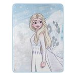 Northwest Frozen Micro Raschel Throw Blanket, 46" x 60", Snowscape