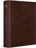 ESV Single Column Journaling Bible, Large Print (Mocha)