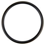 Pentair U9-226 O-Ring Diffuser Replacement for select Sta-Rite Pool and Spa Filters