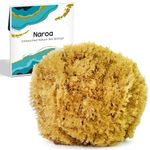 Exfoliating Natural Sponge for Bathing | Bath Sea Sponge for Healthy Skin | Unbleached Shower Body Scrubber Puff | Eco Friendly Plastic Free Sponge (Exfoliate - Large)