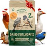 Hatortempt Dried Mealworms 2lbs - Non-GMO Organic Chicken Feed - High Protein Bird Food for Outside Wild Birds, Turtle Food & Chicken Treats for Laying Hens - Bluebird Mealworms Feed