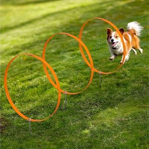 Navaris Set 3 Anelli per Addestramento Cani - Agility Dog Attrezzatura - Ø 50 cm - Kit per Cane di Piccola e Media Taglia - Pieghevoli e Senza Plastica - Impilabili nel Terreno