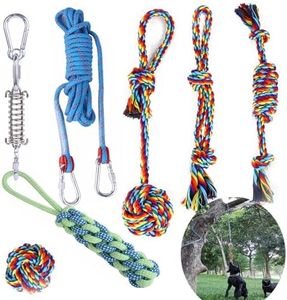 Dog Rope Toy,Tug of War Dog Toy,Tether Tug Outdoor Dog Toy,Outdoor Dog Toys with a Big Spring Pole Kit and 4 Rope Dog Toys,Dog Ropes for Aggressive Chewers