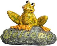 Welcome Stones Hoppy The Frog