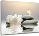 EOBTAIN Zen Water Lily Canvas Wall 