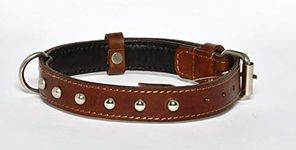 Patch & Marshall Designer Studs Leather Dog Collar Neck Belt Soft Touch Padding - Bio degradable - Medium & Large Dogs - Neck Size 15 to 20 inches Only, Brown