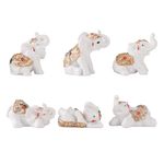 BRABUD Resin 6 Elephants Statue White Fengshui Elephants Figurine Home Decoration Collection Gift TQGJBS561