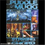 Puddle of Mudd: Striking that familiar chord