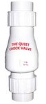 Campbell FBA_B-0823-20 Check Valve Quiet WHT 2" [Misc.], No Size, No Color