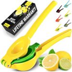 Zulay Kitchen Metal 2-in-1 Lemon Sq