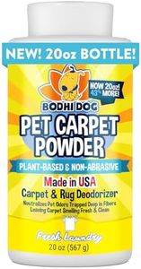 Bodhi Dog 