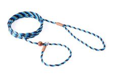 Alvalley Nylon Slip Lead with Stop for Dogs 4mm X 6ft