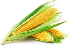 American 'F1' Sweet Corn with 75% sugar in taste- Maze/American Dream F1 - Insect Guard Treated Seeds 500 GRAMS (Only for Agricultural cultivation purpose)