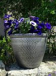 SG Traders 2 X Large Plastic Round Cromarty Plant Pot Flower Pot Planter Garden Decoration Antique Silver 40cm Plant Pot Outdoor Flower Pots Outside Garden Planters Outdoor With Drainage Holes