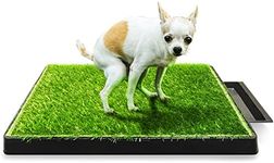 Hompet Dog Toilet Indoor Puppy Trai