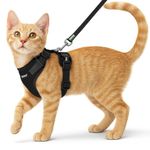 Buraq No Pull Cat Harness with Leash Escape Proof, Aesthetic Design, Ultra-Light Weight, Air Mesh Fabric, Adjustable Cat Leash with Harness (XS - Black)