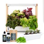 Rise Gardens Personal Garden and Starter Kit | Hydroponics Growing System, Wi-Fi & App Controlled Indoor Garden with Growing Lights & Self-Watering System | Includes 8 Seed Pods & 6 Weeks Nutrients