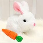 Interactive Bunny Toys Electronic P