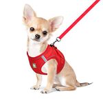 FEimaX Dog Harness and Leash Set for Small Medium Dog Cat No Pull Adjustable Soft Mesh Chihuahua Chest Harness Puppy Reflective Step-in Safety Vest for Outdoor Walking