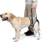 PETANGEL Dog Sling for Small Dogs Hind Leg Support to Help Rehabilitate The Hind Limbs of Elderly Dogs with Weak Hind Legs Disabilities & Injuries Dog Harness Helps Arthritis ACL Recovery (Size: M)