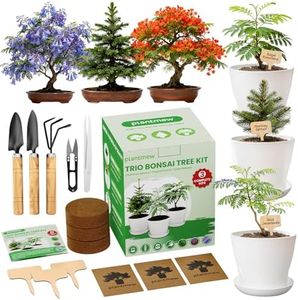 Christmas Gifts & Crafts for Adults - Bonsai Tree Starter Kit with 3 Unique Japanese Trees | Complete DIY Gardening Kit for Birthday | Gifts for Women, Men, Mom, Dad, Plant Lovers