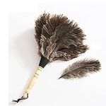 Ostrich Feather Duster, Household D